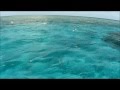 Great Barrier Reef fishing Video, Big Fish Adventure!!