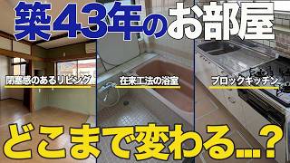 家賃4万円値上げしても問い合わせ急増！築43年の賃貸マンションをコスパ良くリノベーション/東京都練馬区/イメチェン練馬店【ビフォーアフター】