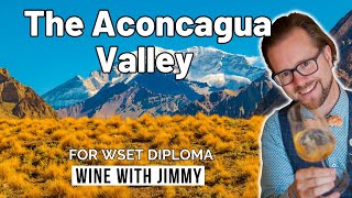 Unlock the Secrets of Chile’s Aconcagua Valley for WSET Diploma