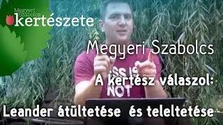 A kertész válaszol: Leander átültetése és teleltetése