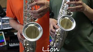 Macross Frontier Lion Alto Sax Cover マクロスフロンティア ライオン