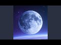 Midnight Signals