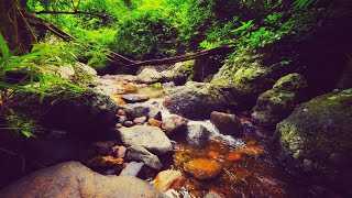 เสียงธรรมชาติคลายเครียด เสียงน้ำตกน้ำไหลสำหรับพักผ่อน - Nature sounds for relaxing, waterfall sounds