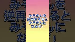 【検証】みそきんを逆再生するとみそきんになる⁉︎#shorts