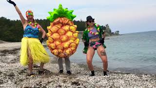 Agadoo doo doo Push pineapple shake the tree by Black Lace