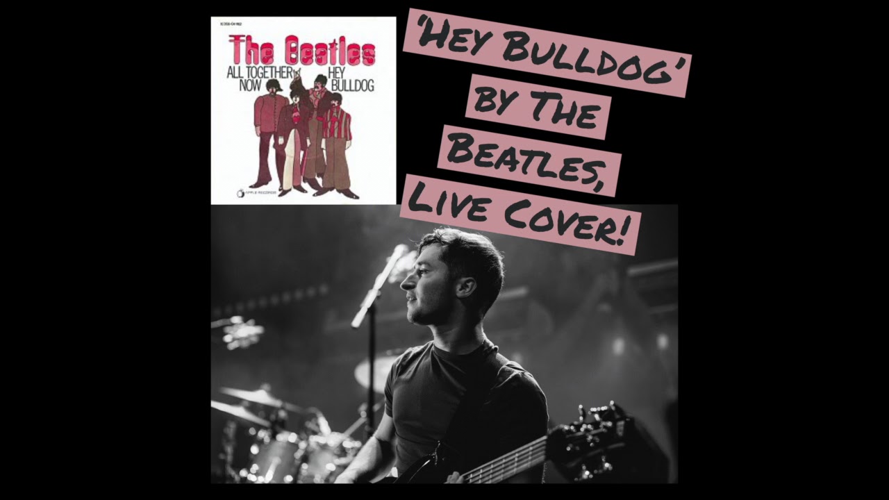 'Hey Bulldog' By The Beatles, Live Cover! - YouTube