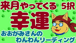 🐶もうすぐ近づく幸せな変化！来月やってくる「幸運」！おみくじっぽい「５択」リーディング🐶わんこたちに聞く🐶おおがみさんのわんわんリーディング【タロット・オラクルカードリーディング】🐶