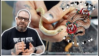 Jeff Goldblatt Shows Off Hognose Snakes at the 2023 Tampa Repticon