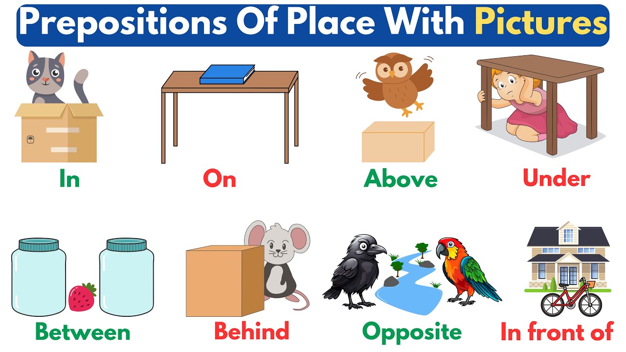 Preposition Prepositions Of Place In English Basic Prepositions With
