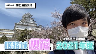 2021年度｜姫路城賞櫻之旅，粉紅的櫻花襯搭白色的姫路城簡直絕配