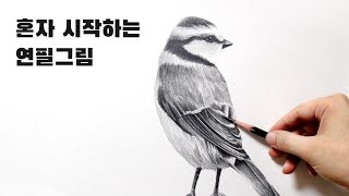 혼자 시작하는 연필소묘 / 새 드로잉, 깃털 표현방법 Basic pencil drawing