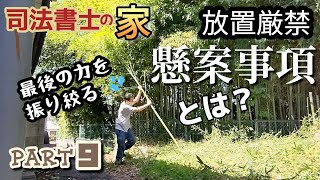 司法書士の家9【竹笹が生えてきた！】