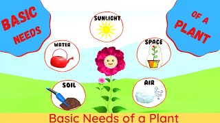 Basic Needs of a Plant | Needs of a Plant | Plant Needs for kids | What do Plants Need to Survive?