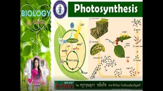 คลอโรพลาสต์และระบบแสง (Chloroplast \u0026 Photosystem) ชีววิทยา ม.5