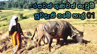 රසවත් ගුණවත් නැවුම් සුවඳැති ගමේ හාල් Delicious, nutritious, fresh and fragrant village rice