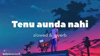 Tenu aunda nahi - slowed \u0026 reverb