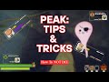 Peak Beginners Tips & Tricks 2025 | Is PEAK Actually Fun or Just Rage Fuel?