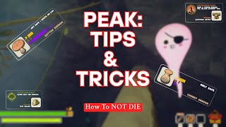 Peak Beginners Tips & Tricks 2025 | Is PEAK Actually Fun or Just Rage Fuel?