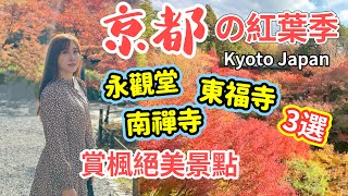 【京都必到🇯🇵】超級美景🍁永觀堂、東福寺、禪林寺｜私心推介｜伏見稻荷、京都御苑超美