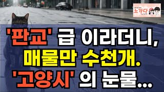 '판교' 급 이라더니, 매물만 수천개. '고양시'의 눈물. 텅 비어가는 충격적 현실! 고양시 지식산업센터, 아파트, 상가 부동산 이야기. 집값전망 하락 폭락 노가다 노비