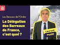 [Les Dessous de l'Ordre] La Délégation des barreaux de France, quelles missions ?