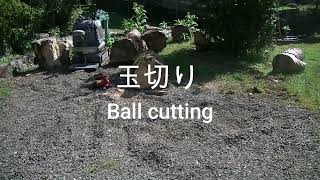 玉切り　Ball cutting