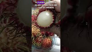 Rambutan: Sweetness Wrapped in Red\