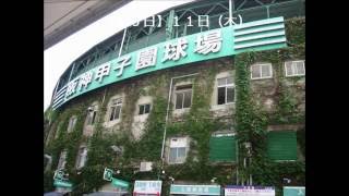 第９８回全国高校野球選手権大会　組み合わせ