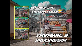 CINEMATIC TRUCK TAWAKAL INDONESIA 3+LADIES JADI TAMBAH MBOIS 🤩