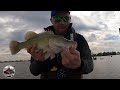 casting for murray cod at lake mulwala murray cod fishing