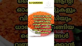 ശരീരത്തിലെ കൊഴുപ്പിനെ  കളയാൻ  അഞ്ച് ഭക്ഷണങ്ങള്‍...