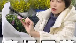 年底了看看花卉市场都有哪些花 花与生活 生活美学 鲜花实体店 花卉绿植 鲜花品质优选