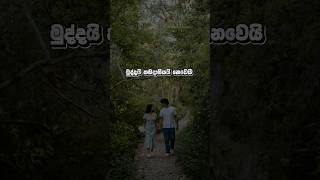 කතාව හරි නම් කමෙන්ට් කරන්න ❤️😍 | sinhala wadan | adara wadan | whatsapp | sad #wadan #sinhala #sad