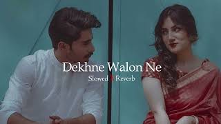 Dekhne walon ne Kya kya nahi Dekha hoga | Slowed & Reverb | Shir Sunny
