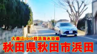 【車載動画】大森山から桂浜海水浴場まで