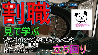 【R6S】見て学ぶ割職の立ち回り　プラントの判断、ドローンの回し方、割職でもアタッカーになる　(大会クラン戦のキル集)