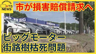 ビッグモーター街路樹枯死問題　損害賠償を請求へ　札幌市が意向伝える　請求額は今後検討