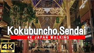 A night in Sendai's Kokubuncho as Christmas approaches  4K24fps