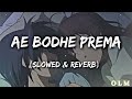 Ae bodhe Prema [Slowed & reverb] Sandeep Panda & Aseema Panda | Odia Lofi Song | OLM