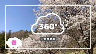 【360°お散歩動画】まほろば古の里歴史公園・春