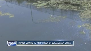 Money coming to help clean-up Scajaquada Creek