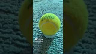 How to tape a tennis ball // Swing ball // Tutorial #tutorial #cricketequipment #tapeball #shorts