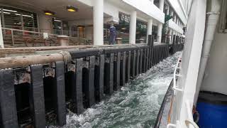 M/V XIN ZHONG 新忠 (香港船廠雙層普通渡輪) berthing