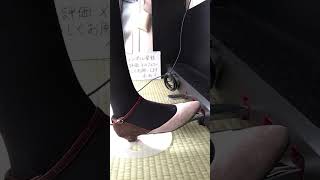 2025/01/05 ピアノ　練習　ペダル　黒タイツ　パンプス　ハウルの動く城　人生のメリーゴーランド　ジブリ　piano practice  pedal tights pumps