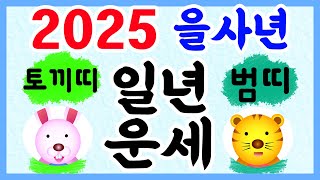 [띠별일년운세] 2025 을사년 범띠와 토끼띠 일년 운세입니다~  사주/운세/역학/철학/주역/관상/풍수지리/주역/육효 상담: 010-9563-2238 철학원,철학관