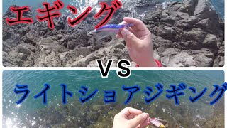 エギングとライトショアジギングどっちが釣れる？