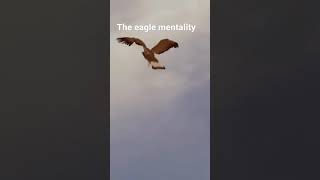 The eagle mentality - best Motivational video