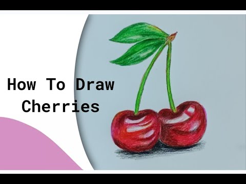How To Draw Cherry Simple To Advance Realistic Cherry Drawing Step By