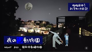 ★『夜の動物園』に行ってみた‼️福岡市動植物園