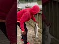 striper fishing james river😮‍💨 jamesriver stripedbass